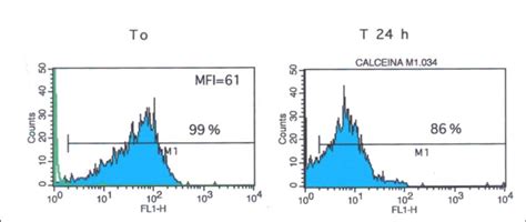 Comparative flow cytometric histogram analysis of calcein-AM cell ...