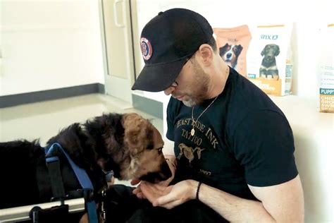 Chris Evans Surprises Shelter Dogs with Jinx Treats for National Dog Day