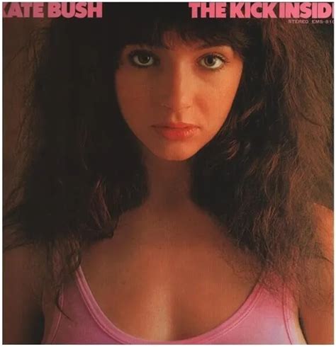 KATE BUSH THE Kick Inside 天使と小悪魔 OBI INSERT Emi Vinyl LP EUR 103 90