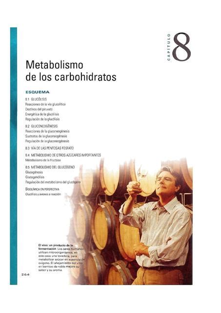 Metabolismo De Los Carbohidratos Deyber Campoverde UDocz