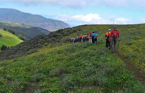 El Programa Municipal De Senderismo Teror Patea Por Gran Canaria