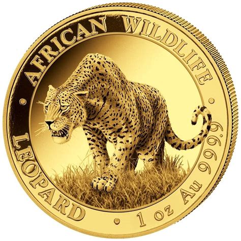 Goldmünze Leopard 2023 African Wildlife Somalia 1 Oz Stempelglanz