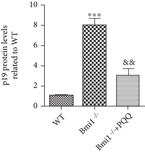 The Effect Of Pqq On Cell Proliferation And Senescence In The Skin Of