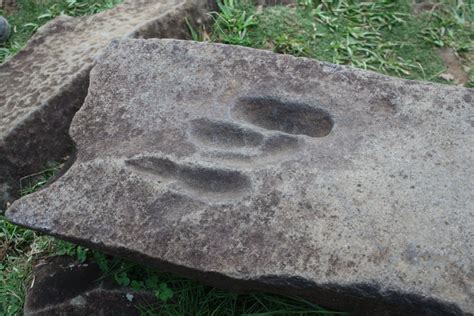 Indonesia: The world's oldest pyramid might be under this hill