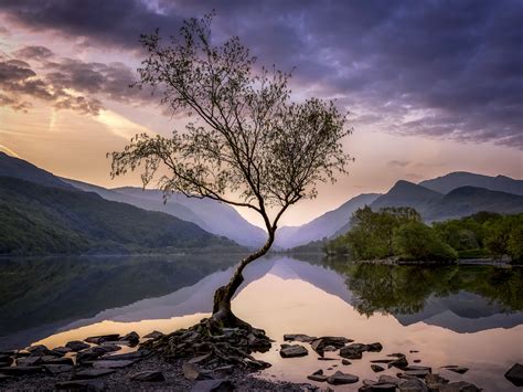 Lone Tree Lake Dawn Snowdonia National Park 5K Preview | 10wallpaper.com