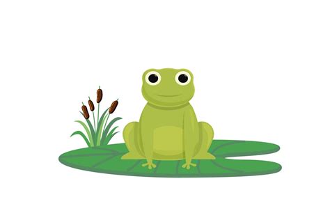 Happy Green Frog Icon Graphic by stembasija · Creative Fabrica