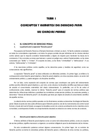 TEMARIO COMPLETO Pdf