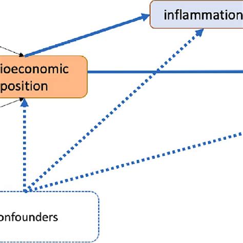 Theoretical Diagram Showing The Pathway Between Sep And Neurocognitive