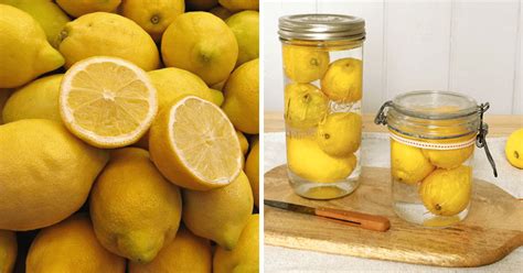 How To Store Lemons To Last Longer Storables