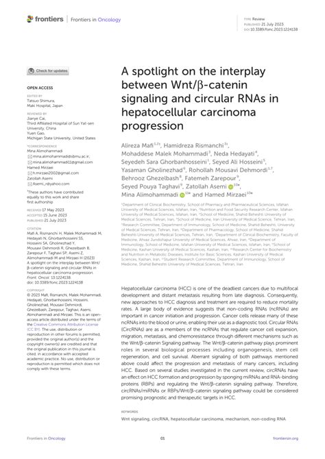 Pdf A Spotlight On The Interplay Between Wnt Catenin Signaling And