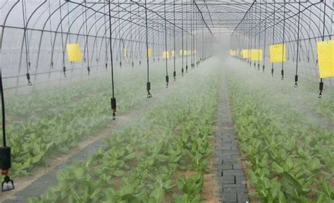 China Customized Overhead Sprinkler Irrigation System For Greenhouse