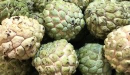 Atis: Filipino Fruit