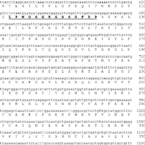 Determination of GDH activity in the GDH-positive clone relative to the ...