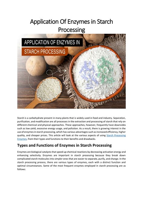 Ppt Application Of Enzymes In Starch Processing Powerpoint