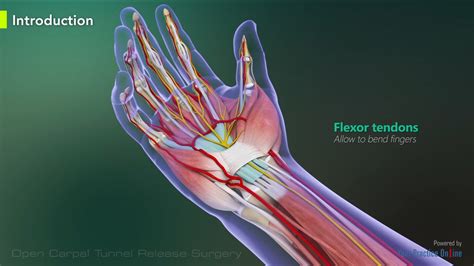 Open Carpal Tunnel Release Surgery Video Medical Video Library