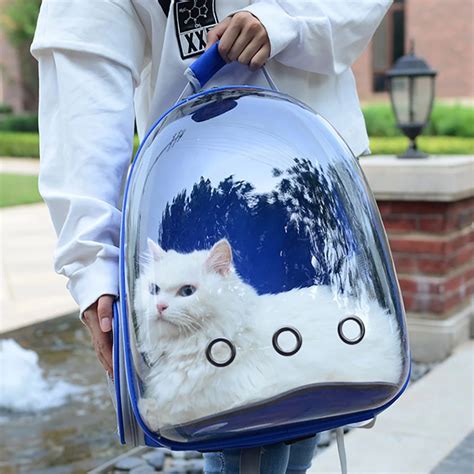 Clear Cat Backpack 51 Off Limited Offer Inspire Uplift