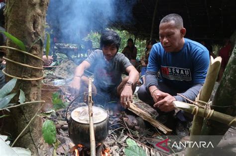 Masyarakat Adat Punan Batu Dijamin Kelangsungan Hidupnya ANTARA News