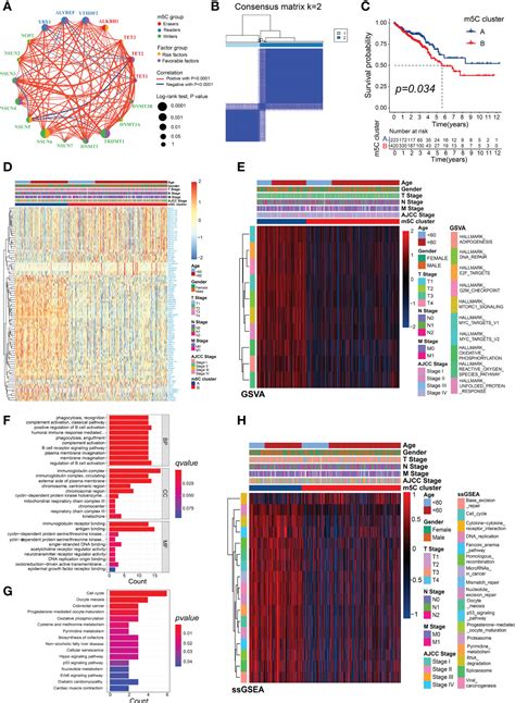 Frontiers M C Regulator Mediated Modification Patterns And Tumor