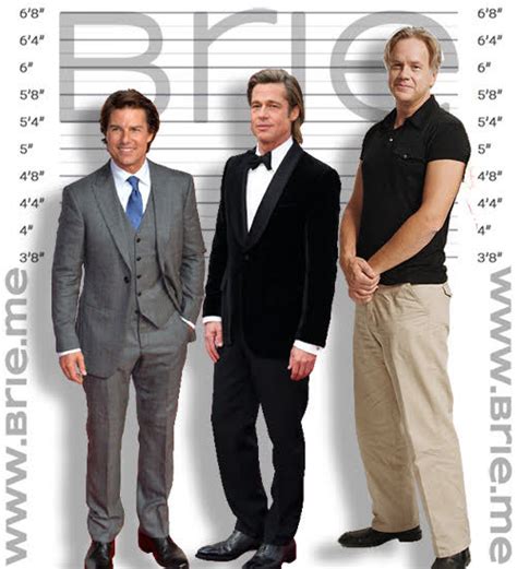 Tim Robbins Height - Brie