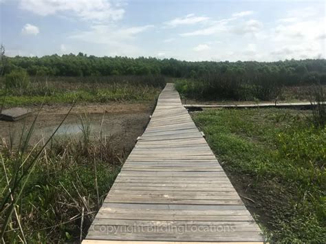 lake waco wetlands birding locations