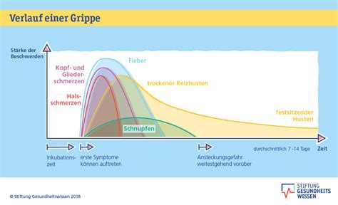 Grippe Influenza Woran Erkennt Man Sie Stiftung Gesundheitswissen