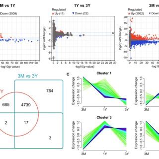 Differential Protein Expression Profiles A Volcano Plot Showing