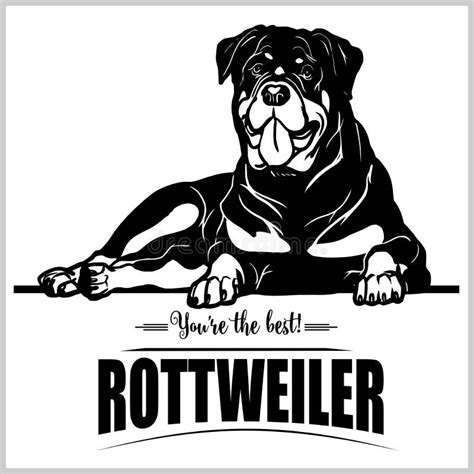 El Icono Linear Del Vector Del Perro De Rottweiler Aislado En El Fondo