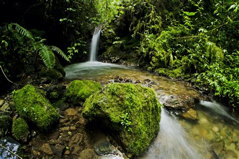 D A Internacional De Los Parques Nacionales Un Recorrido Por Cinco