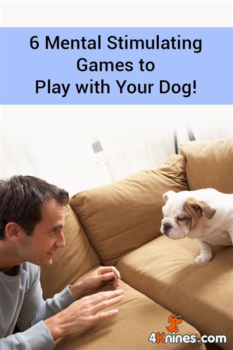 6 Mental Stimulating Games To Play With Your Dog Puppy Training