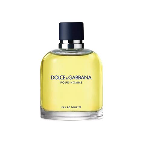Amazon.com: Dolce & Gabbana Pour Homme, Eau De Toilette, For Men - 125 ...