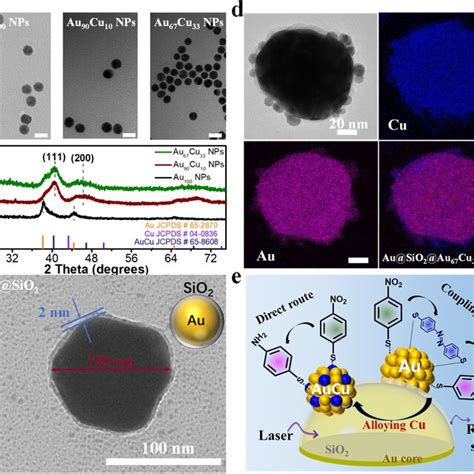 TEM Images A And XRD Patterns B Of Au100 NPs Au90Cu10 NPs And