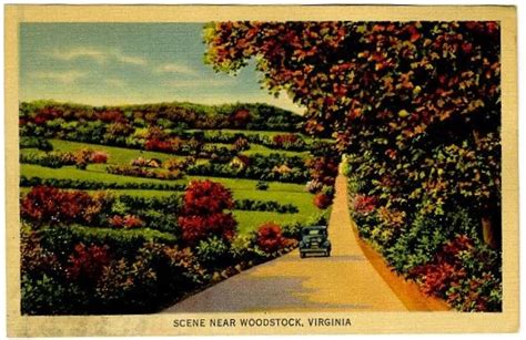 Scene Near Woodstock Virginia Shenandoah County Library Archives