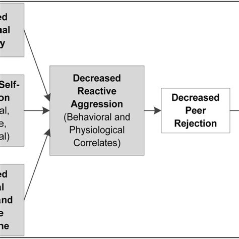 Theoretical Model Linking Mindfulness Reactive Aggression And