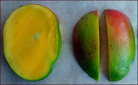 Guide To Dehydrating Mango With Recipes