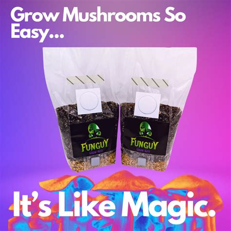 2 All In One Mushroom Growing Kit Bag Grow Substrate And Rye Grain Like Magic Etsy