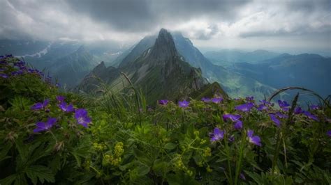 Appenzell Alps at spring - backiee