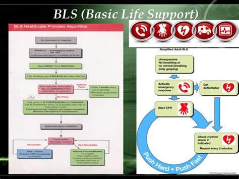 Basic Life Support Bls Provider Manual