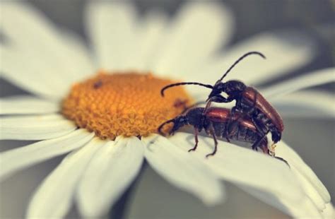 Lets talk about sex Haben Eltern überhaupt noch Sex STADT LAND MAMA