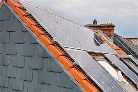 Plaatsen Van Vogelwering Op Zonnepanelen