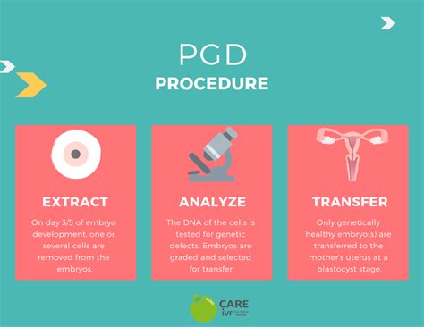 How To Improve Ivf Success With Pgs And Pgd Eurocare Ivf Center