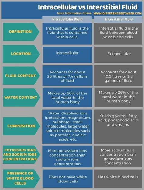 Intracellular Vs Interstitial Fluid Tabular Form Biochemical