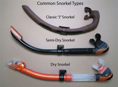 Snorkel Buying Guide What We Use And Our Test Winners 2024