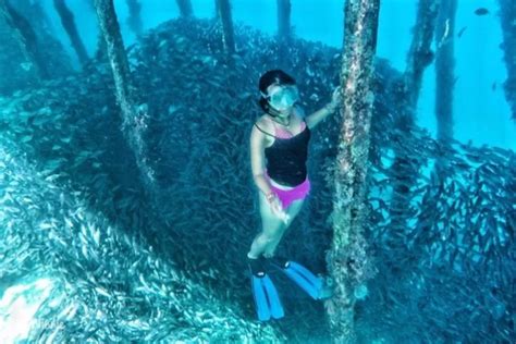 Menikmati Keindahan Bawah Laut Pulau Arborek Raja Ampat Jurnal Flores