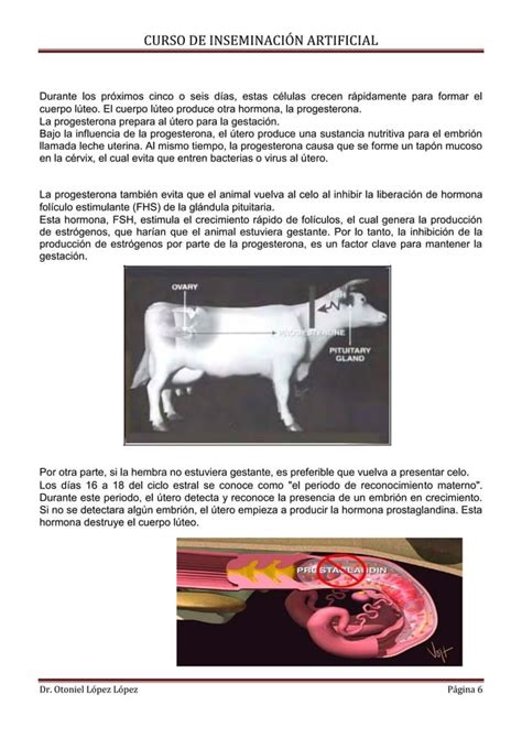 Curso De Inseminacion Artificial Dr Otoniel L Pez Pdf