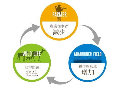 【継続受付中】人も野生動物も豊かに暮らす丹波篠山の未来をみんなで創りたい！｜ふるさと納税のガバメントクラウドファンディングは「ふるさとチョイス」