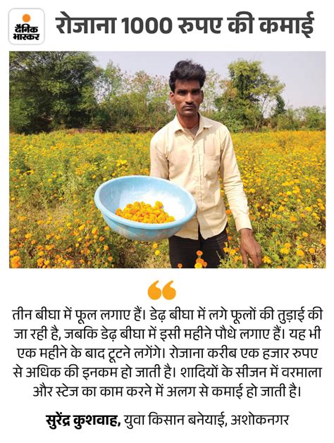 Mp Ashoknagar Farmer Success Story Gende Ke Fool Ki Kheti गेंदा