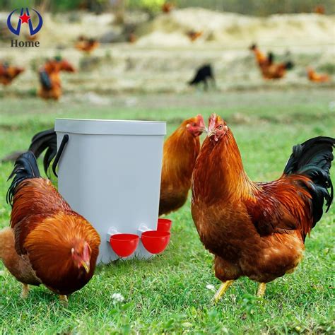 Chicken Waterer Cup Automatic Chicken Water Feeder Poultry Water Cup