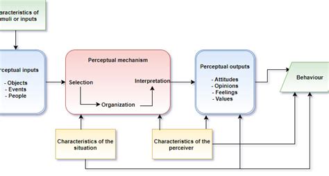 What is the process of Perception?