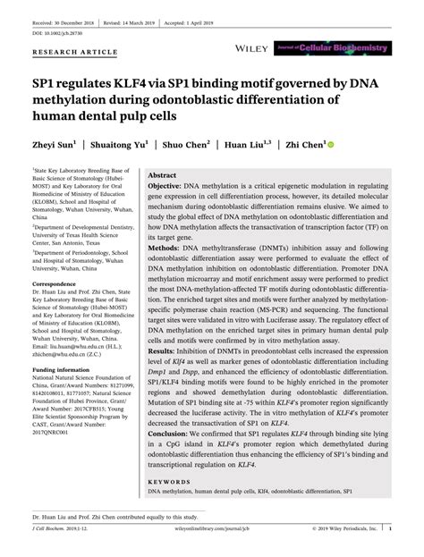 PDF SP1 Regulates KLF4 Via SP1 Binding Motif Governed By DNA