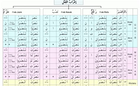 Tasrif Feel Madhi Mudhari Amar Tashrif Lughawi Fi Il Madhi Tabel Dan